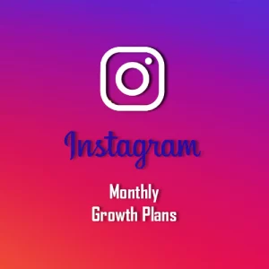 Instagram Growth Service